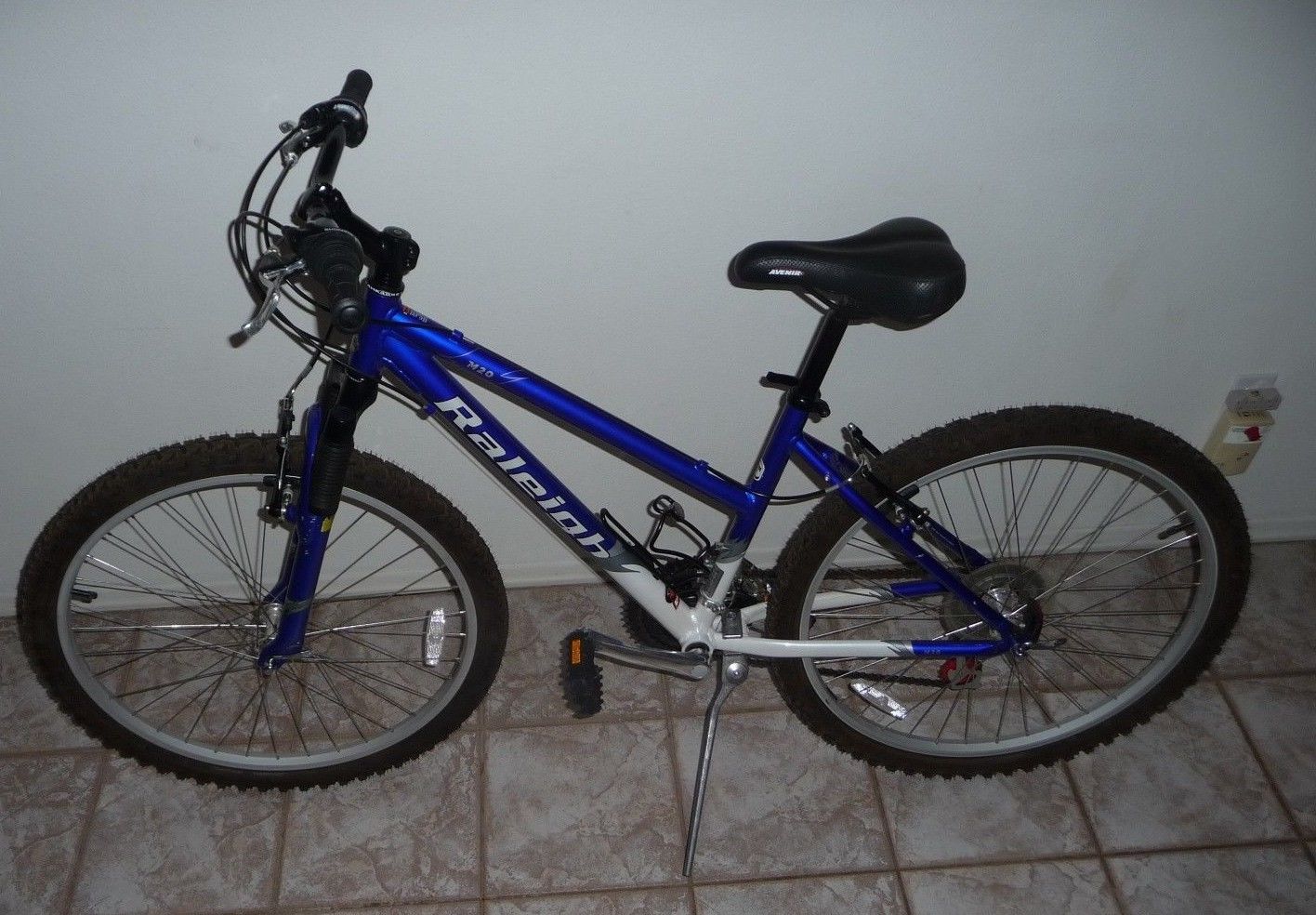Raleigh M20