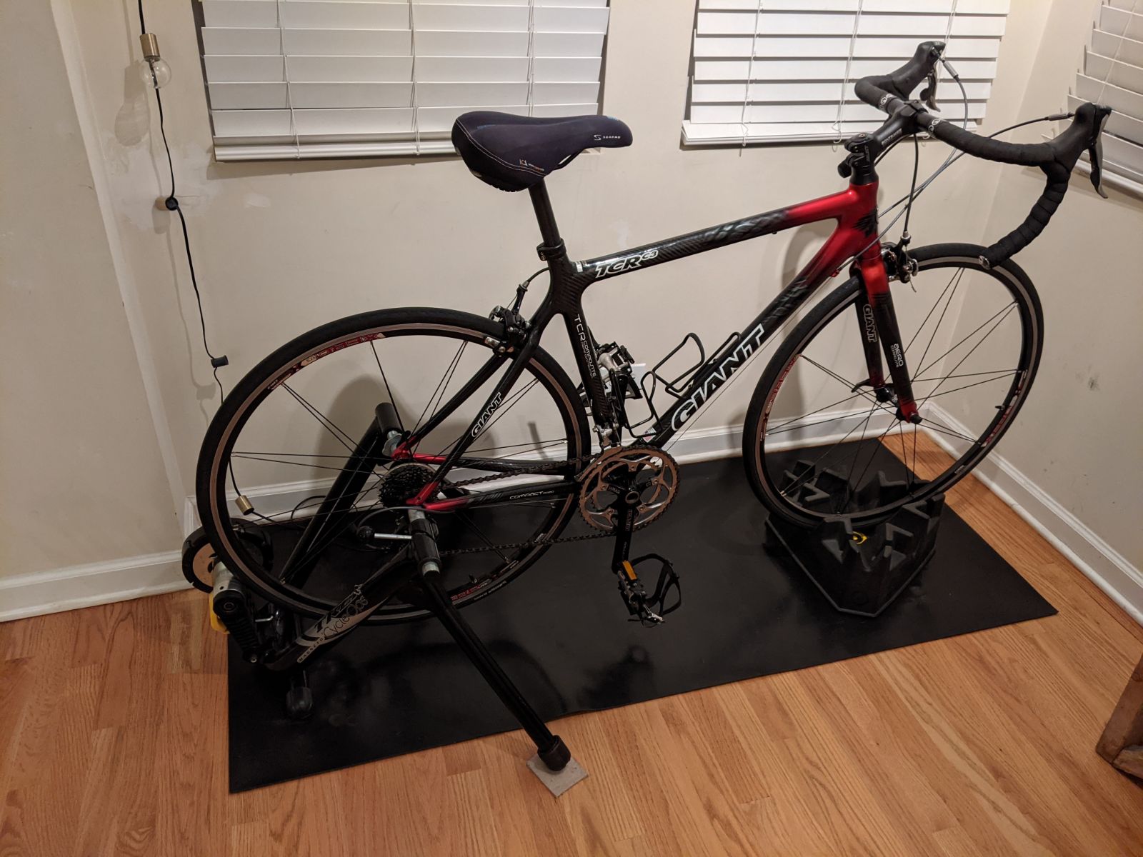 Giant TCR C3
