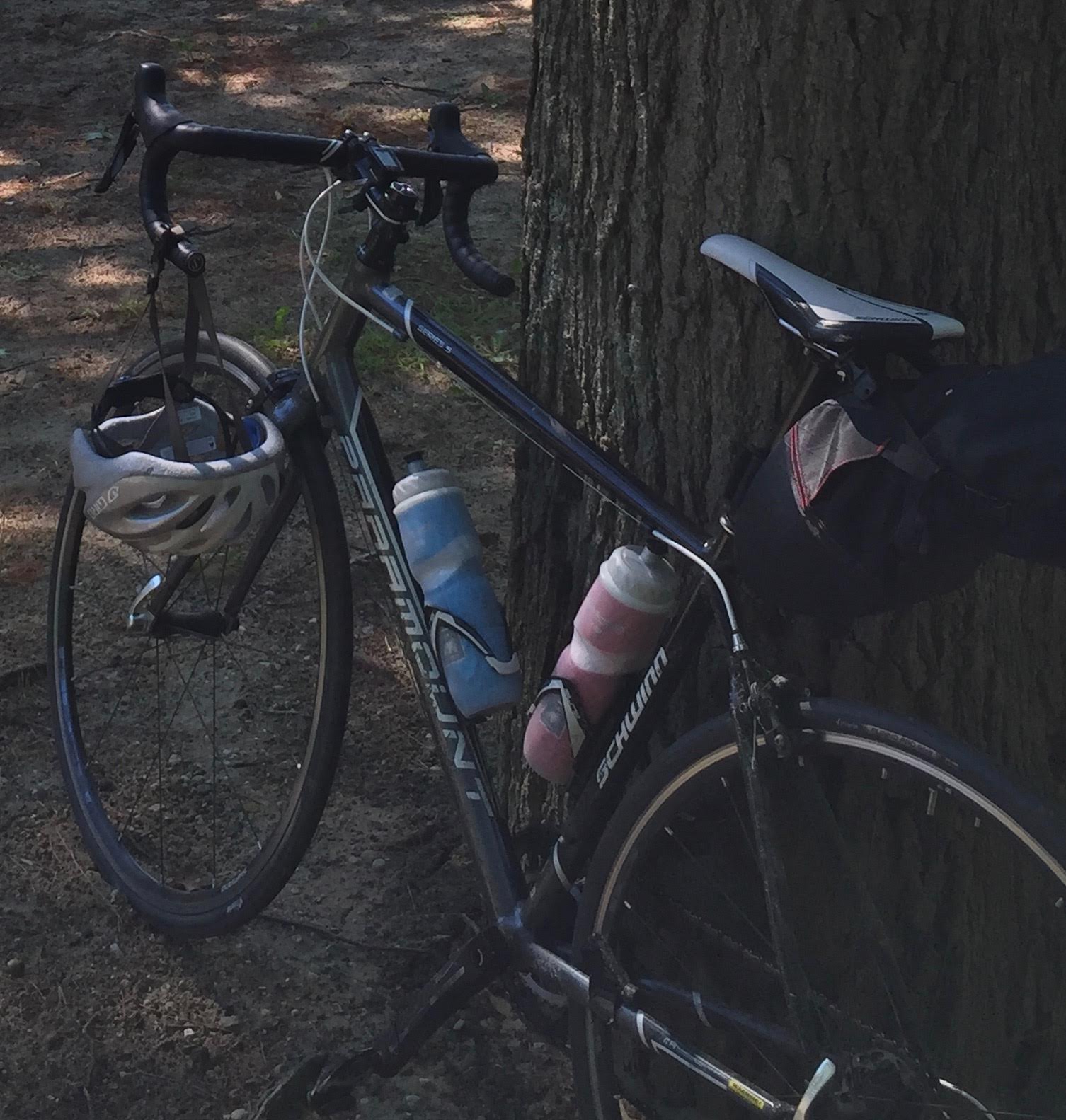 Schwinn Paramount Series 5