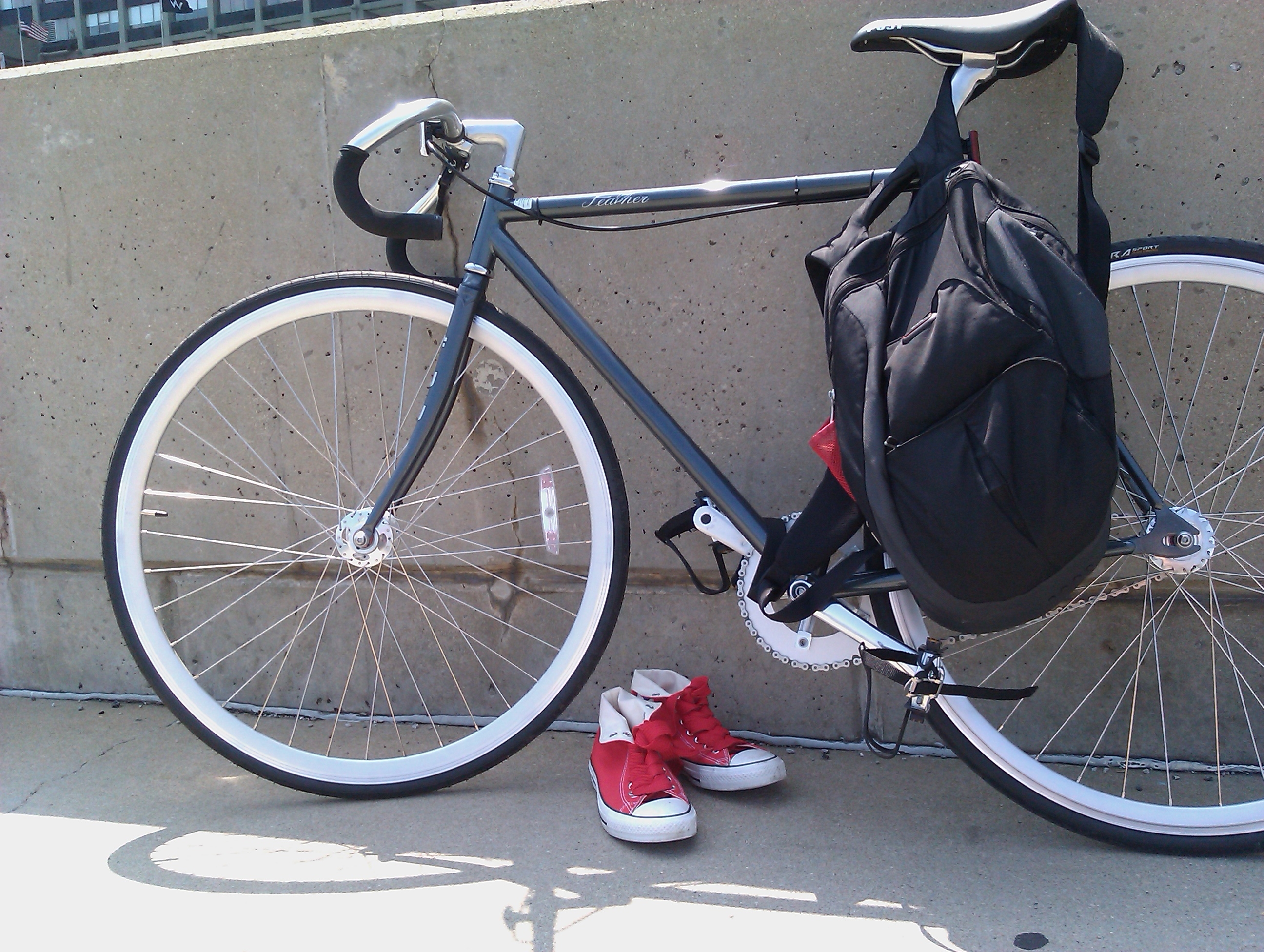 2010 Fuji Feather