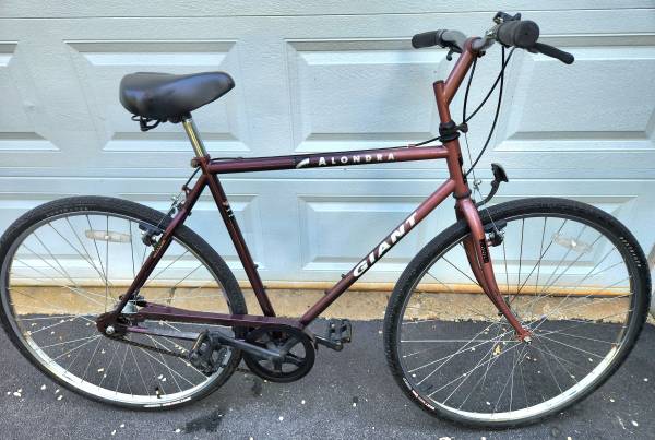 Alondra Giant 1995 3 Speed
