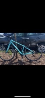 Trek 7.3 FX WSD