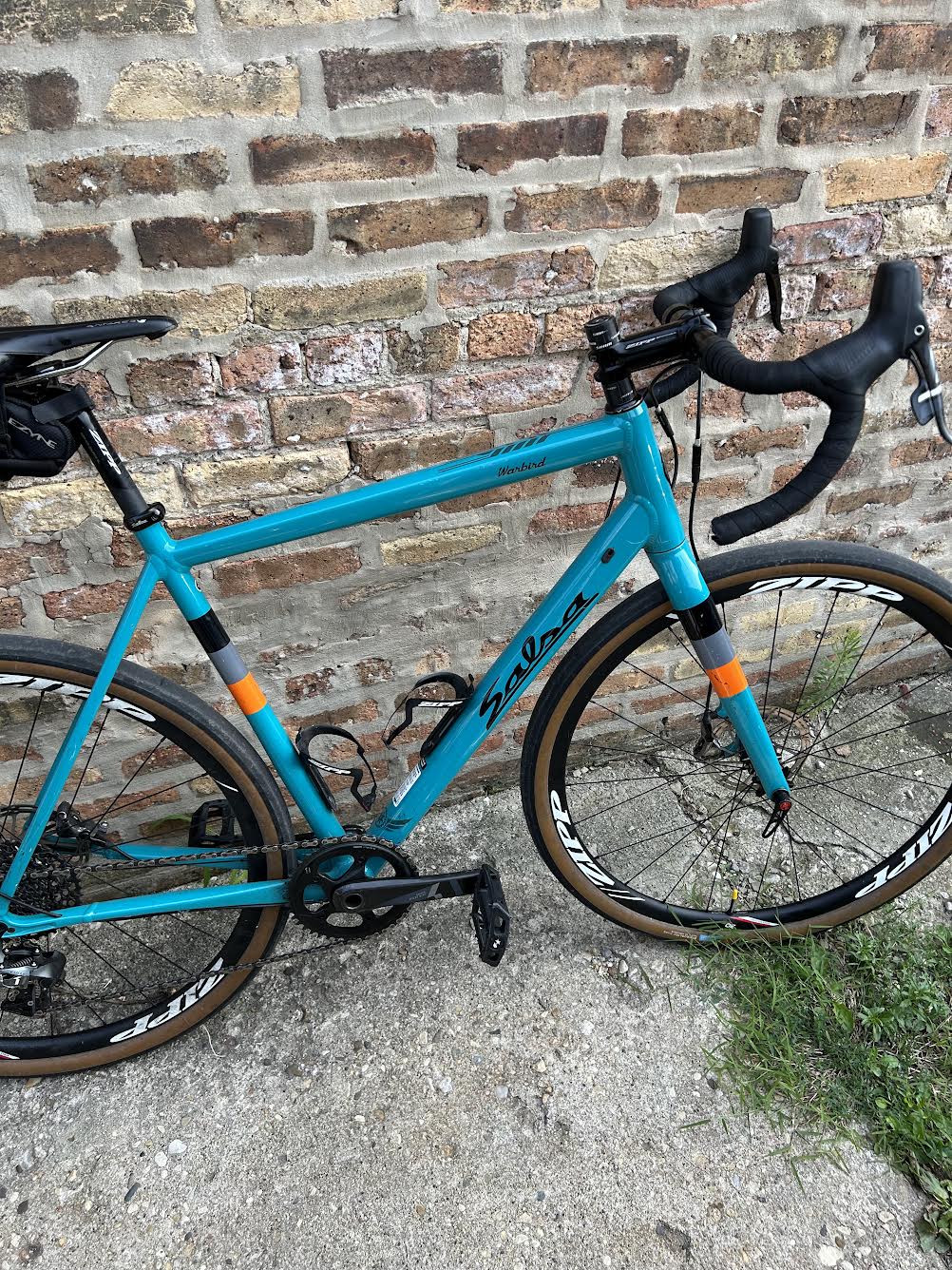 Salsa Warbird