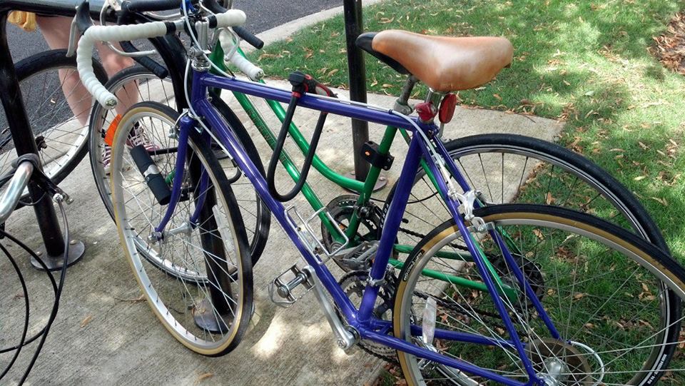 Custom Raleigh 