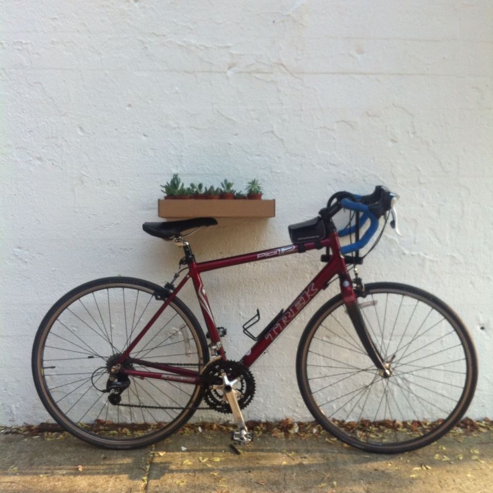 2006 Trek Pilot 1.2