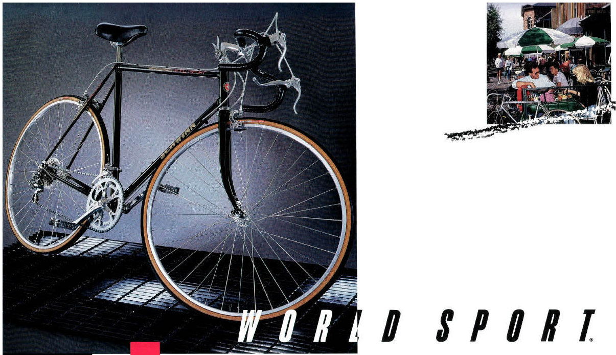 1987 Schwinn World Sport