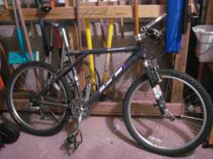 1999 GT Ricochet Mountain Bike - Men's