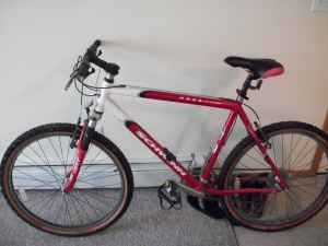 Schwinn Mesa
