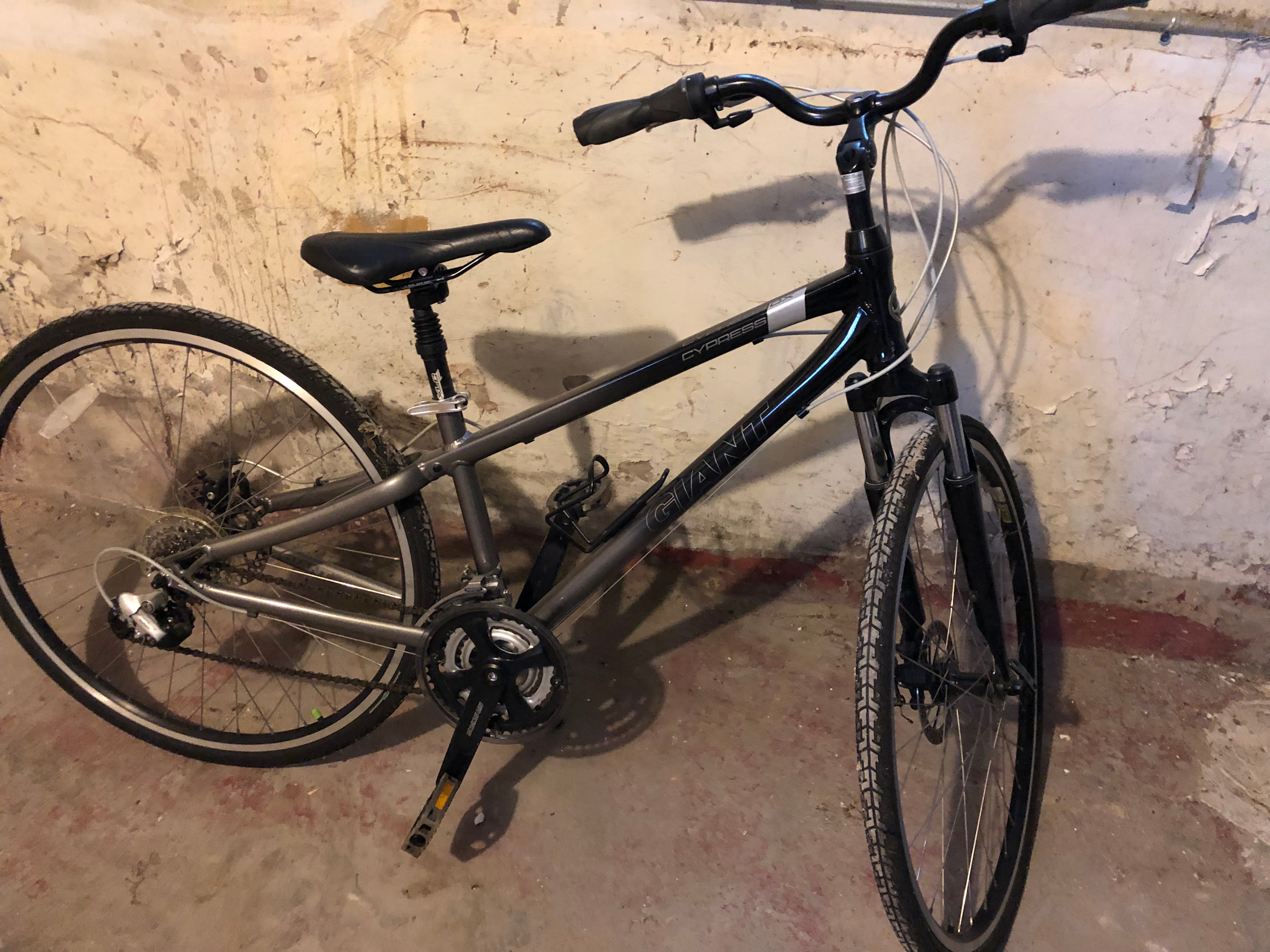 2008 Giant Cypress DX