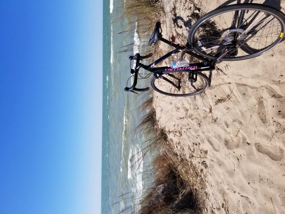 Specialized Dolce