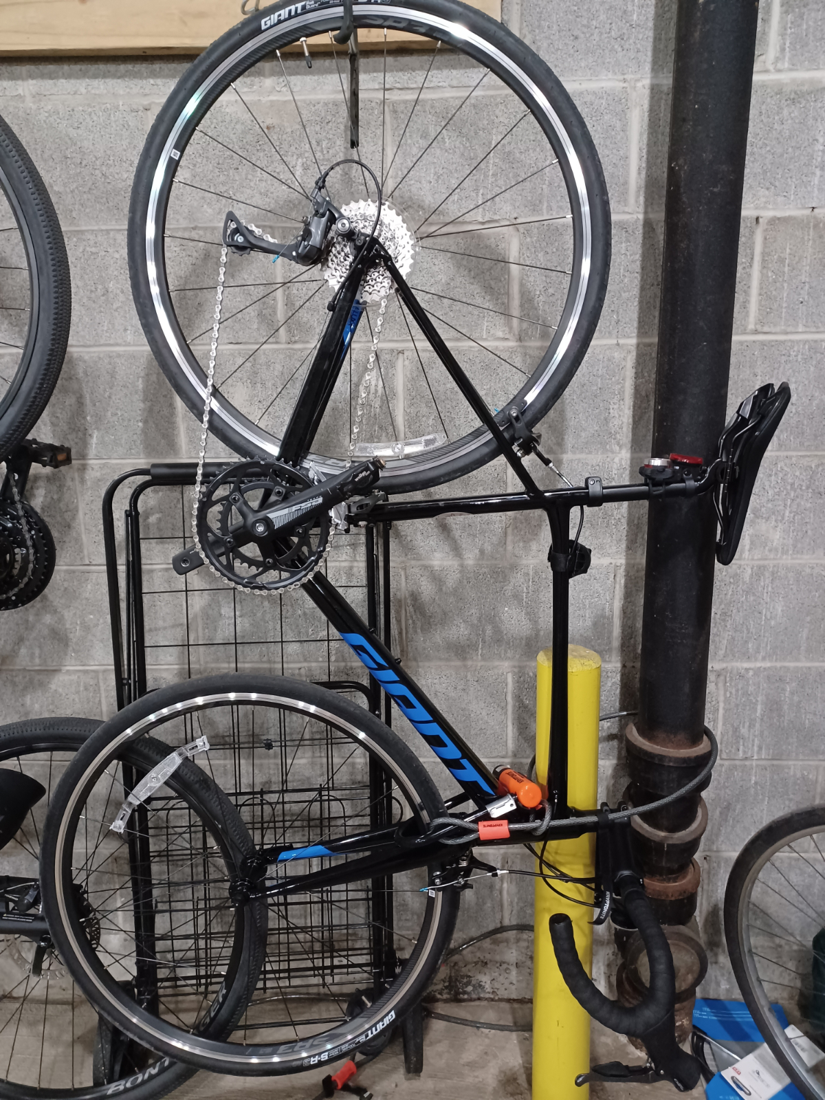 Giant Contend