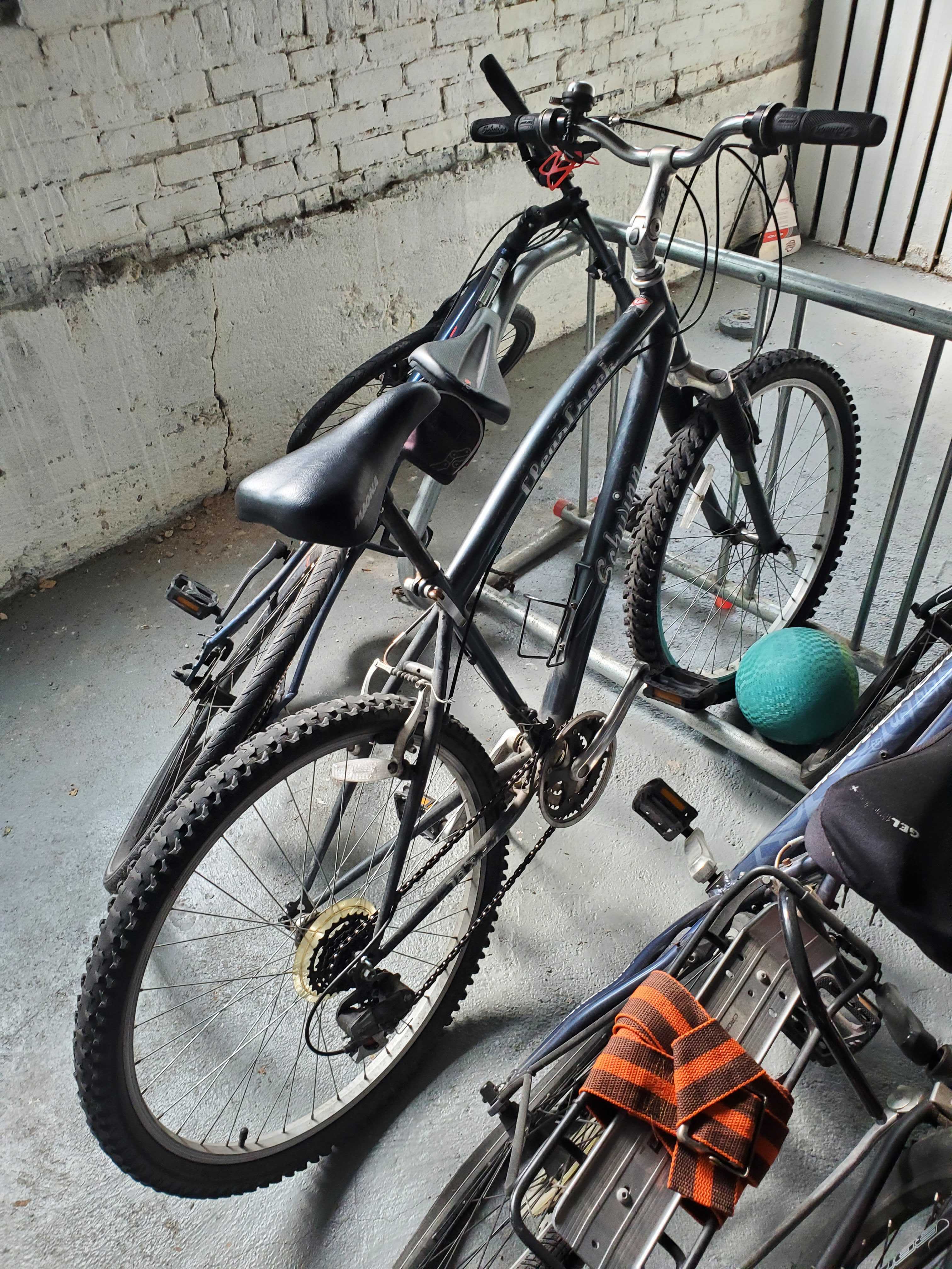 Schwinn Clear Creek