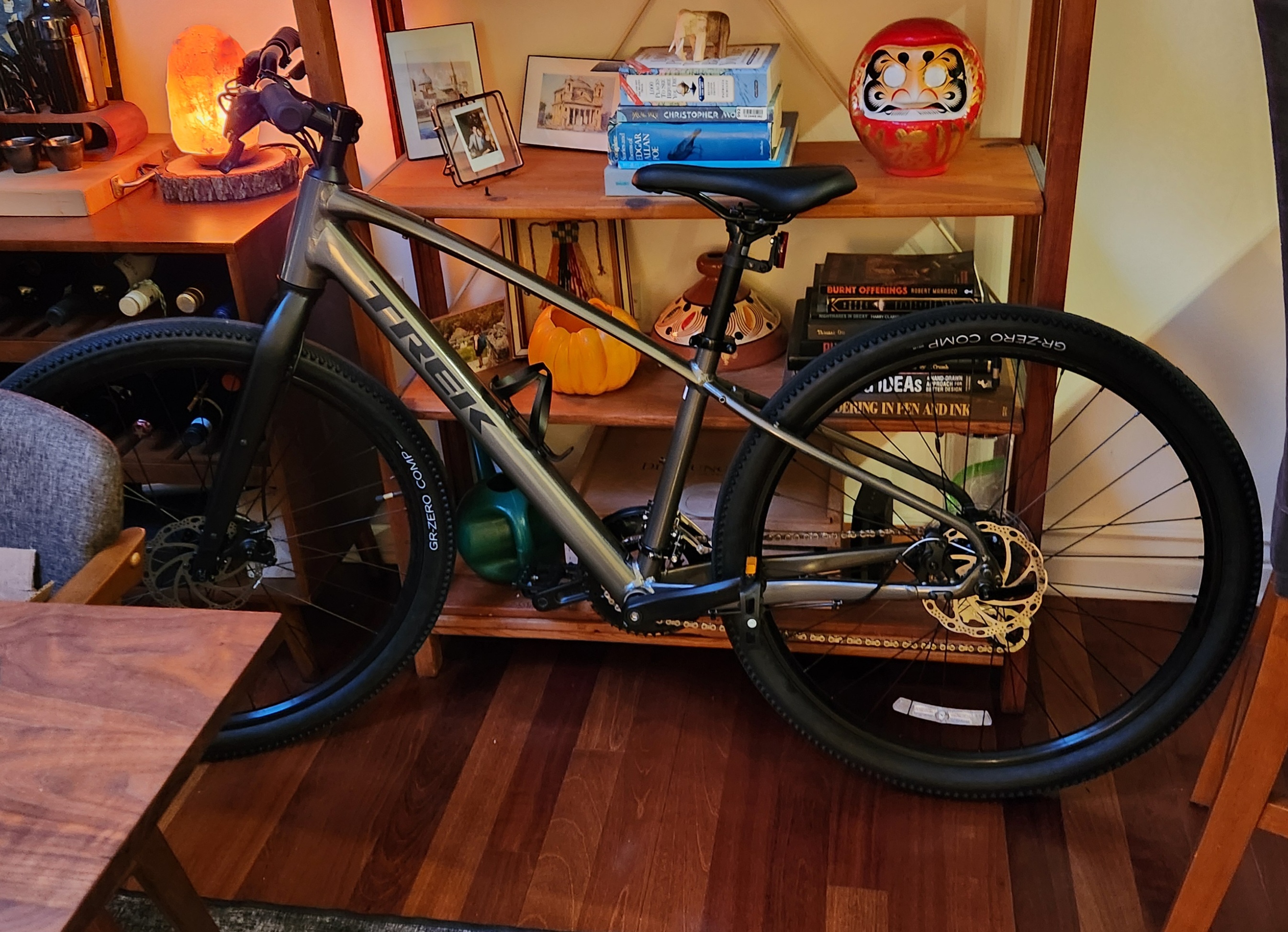 Trek Dual Sport 2 Gen 5