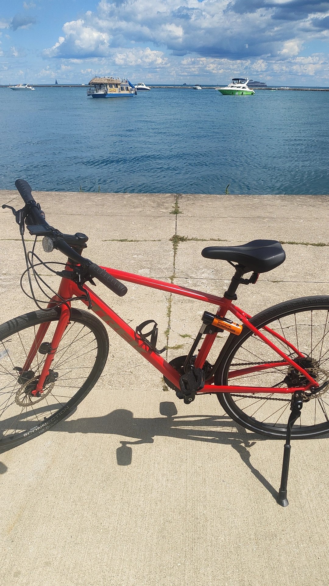 Trek FX2 (2024) 