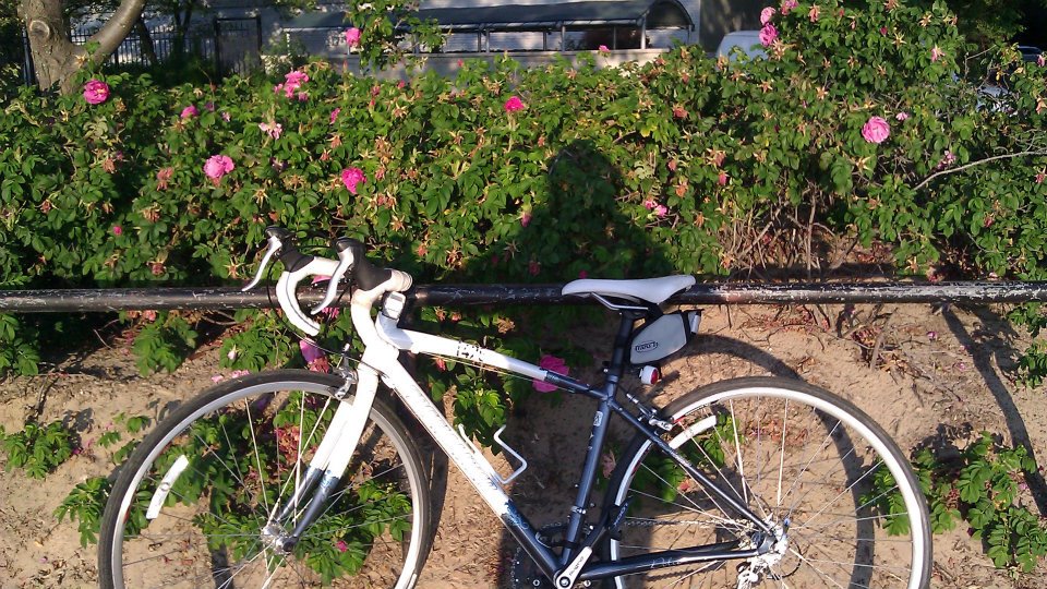 Specialized Dolce
