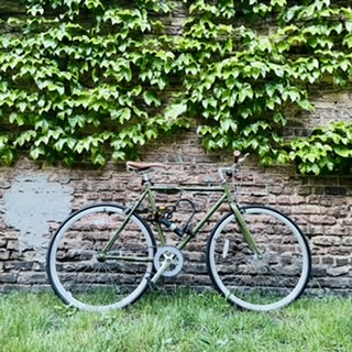 Harper Fixie Bike- Single speed