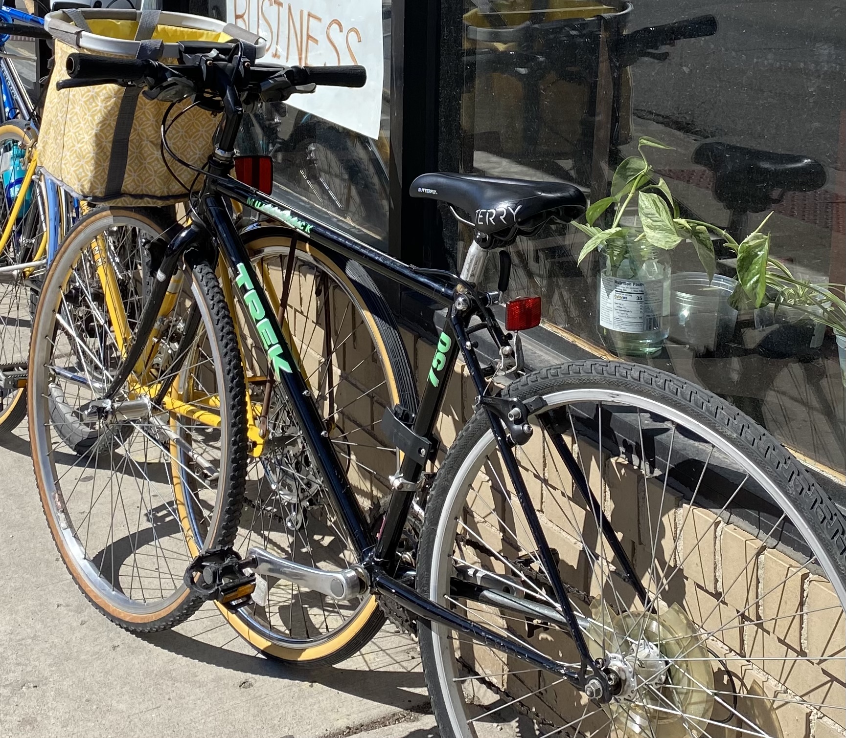1991 Trek 750
