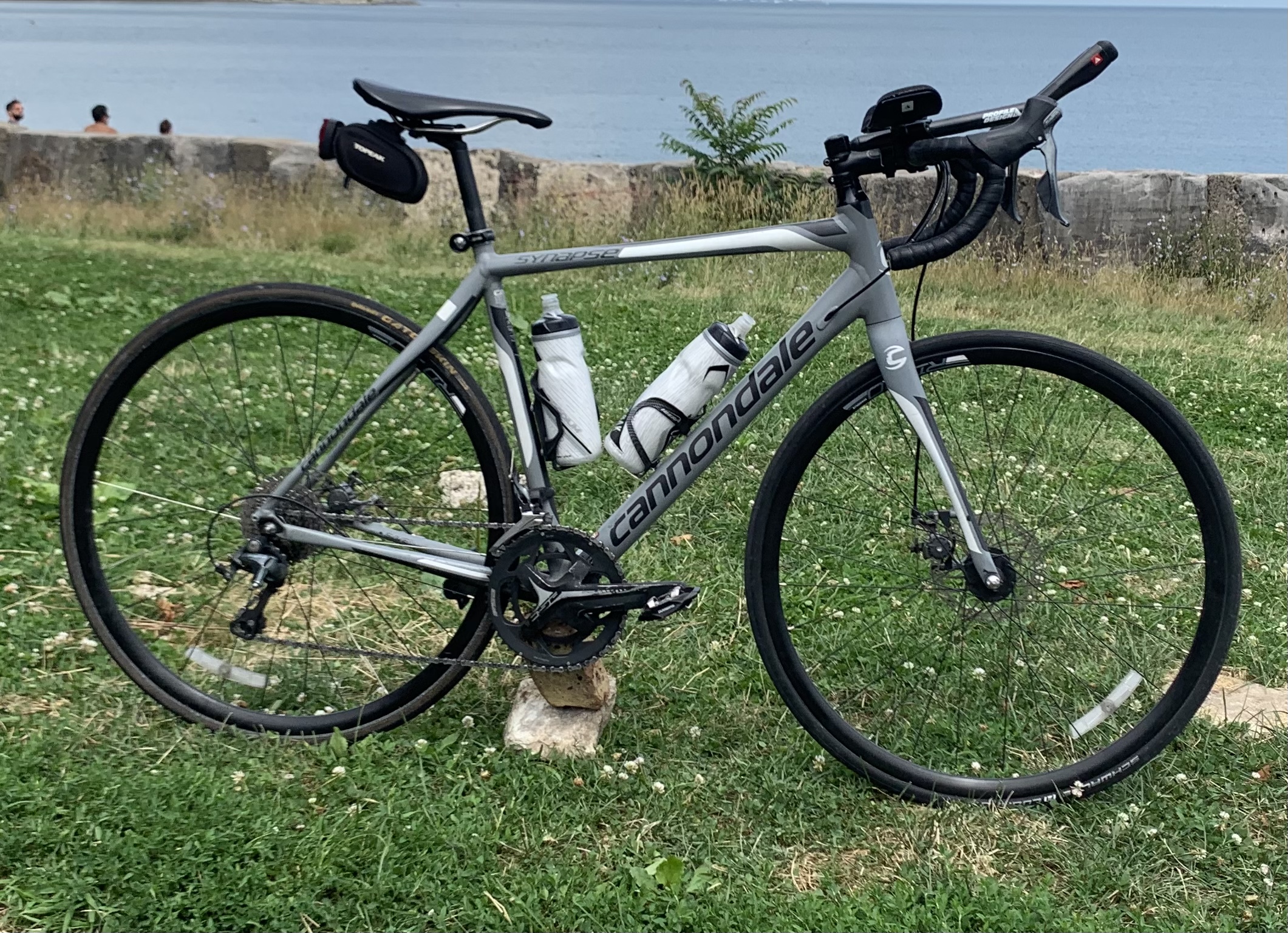 Cannondale Synapse