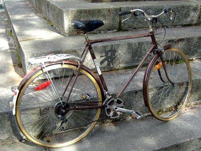 1970s Vintage Brown Raleigh Sprite