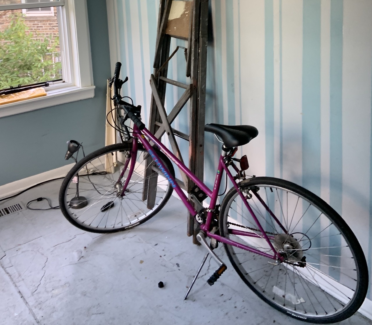 Schwinn Crisscross