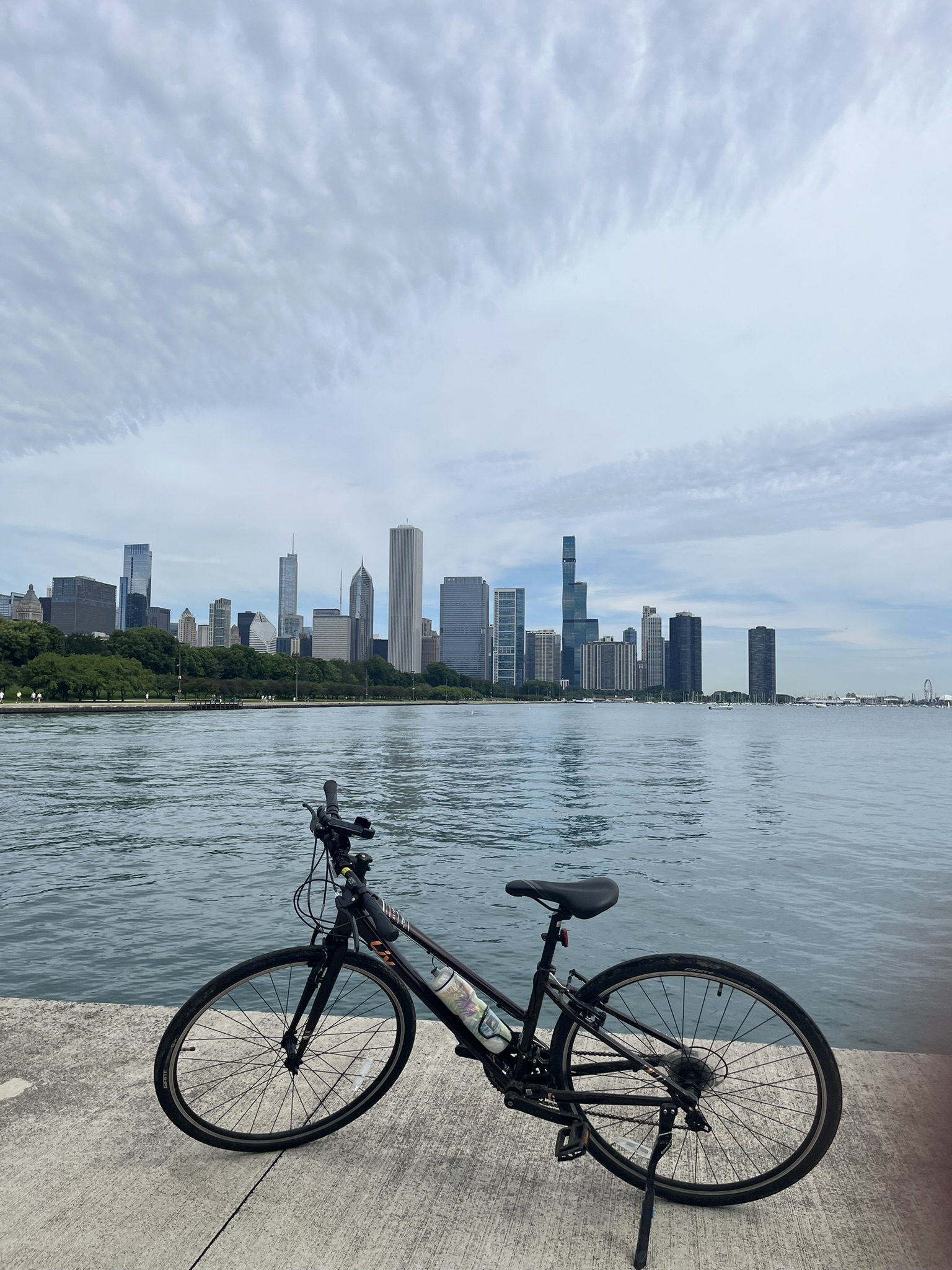 Liv hybrid bike