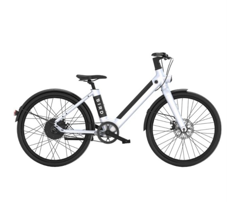 Bird bike v-frame e-bike