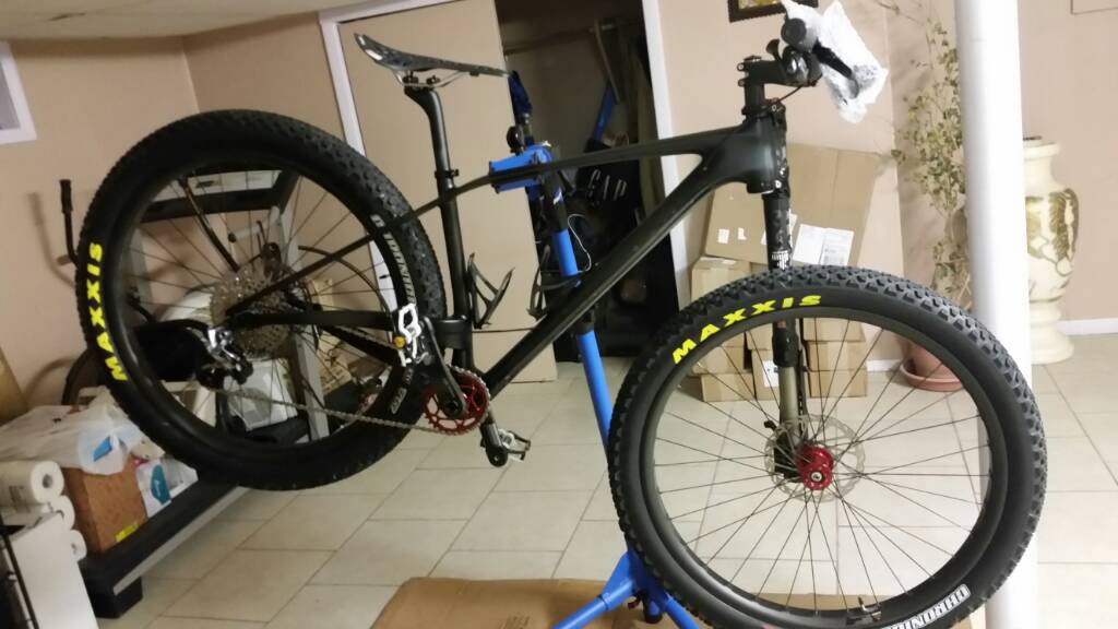 Custom Chinese Carbon 29+ Hard Tail Mountain Bike