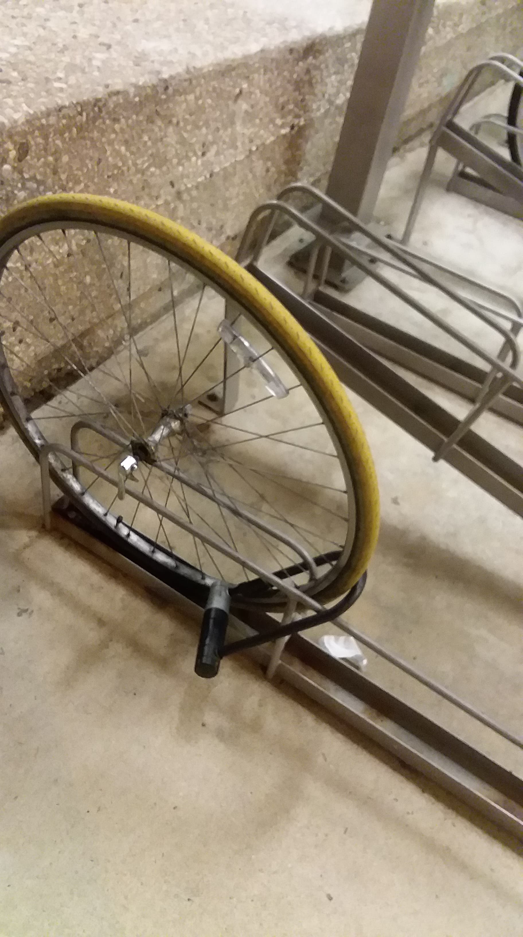 Scwinn World Sport