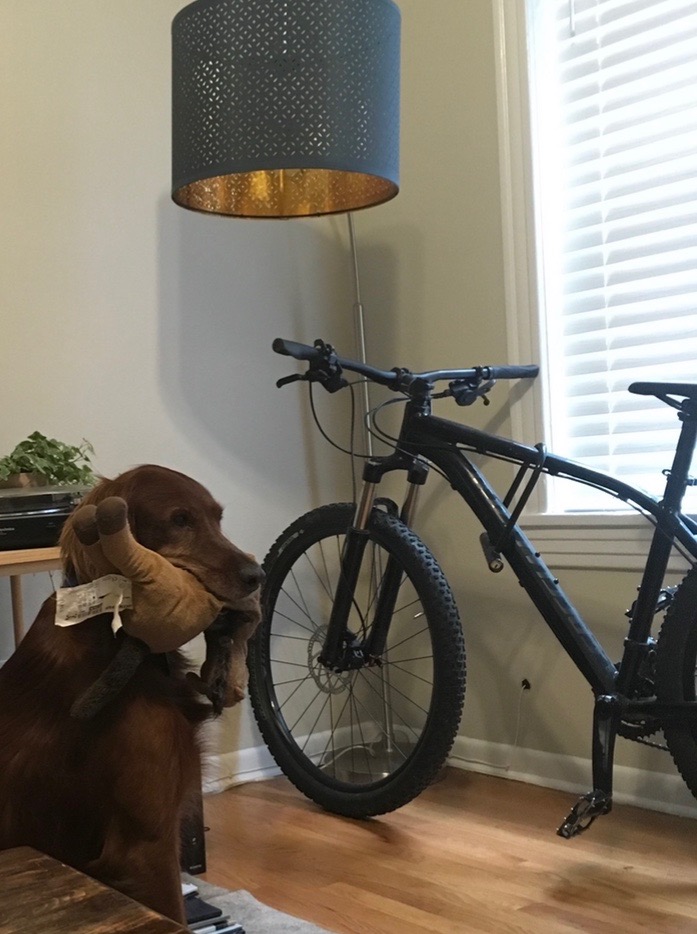 Specialized mountain bike