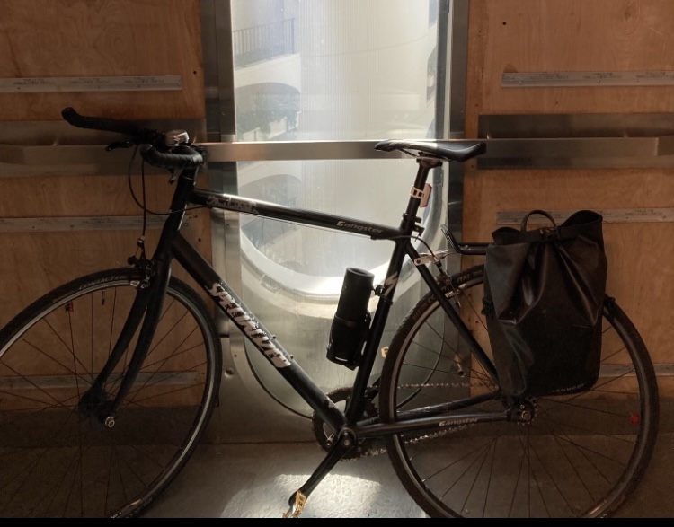 Specialized Langster