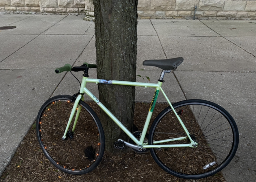 Biria fixie