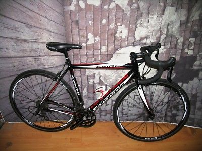 Cannondale CAAD8