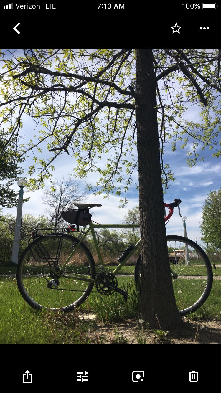 Surly cross check