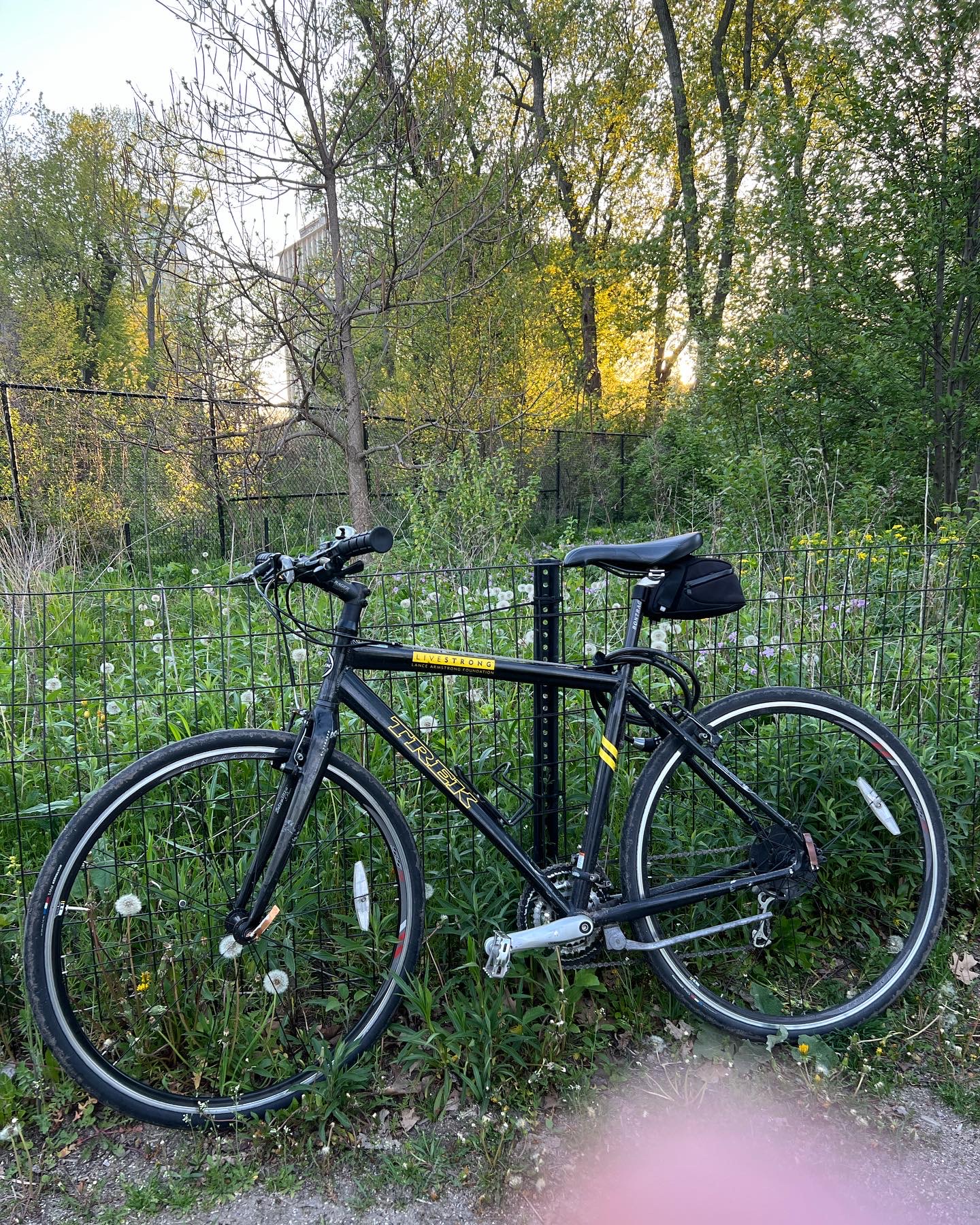 Trek 7.5 FX Livestrong