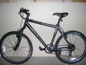 Trek 3700 Mountain Bike (2007 or 2008)