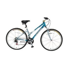 Ladies Schwinn 700c Trailway Hybrid (I think that was the model, but not 100% sure)