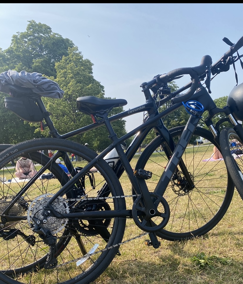 Trek dual sport