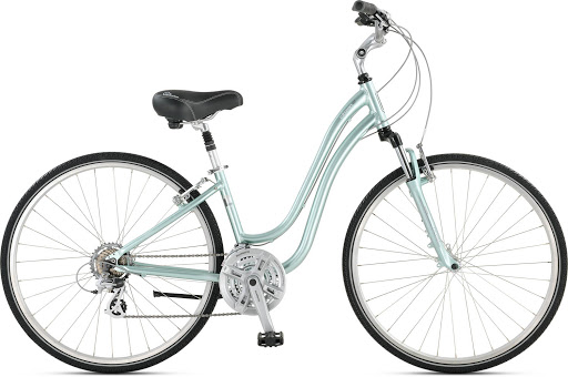 Jamis Citizen 2 (Step-thru)