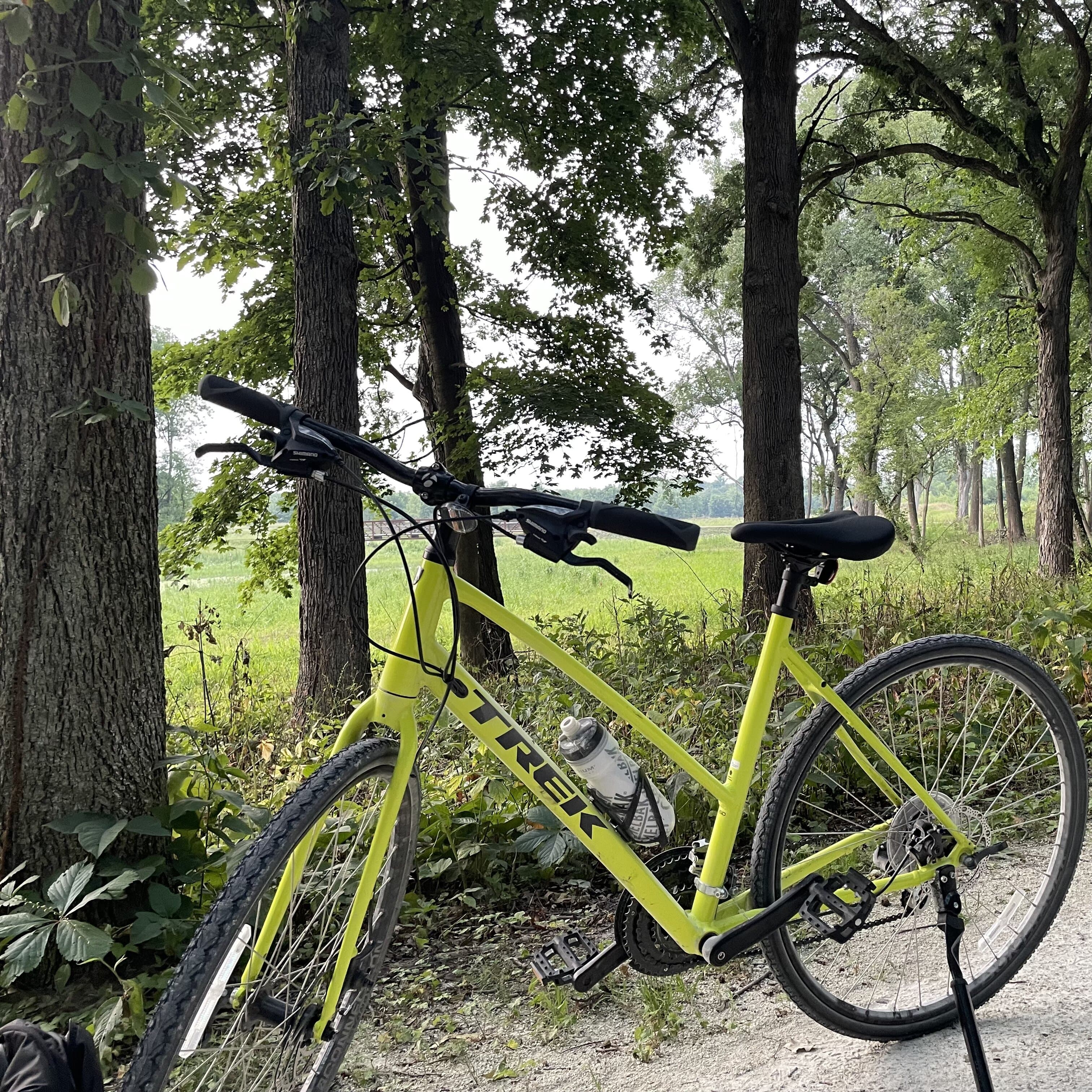 Trek FX1 Stagger Disc