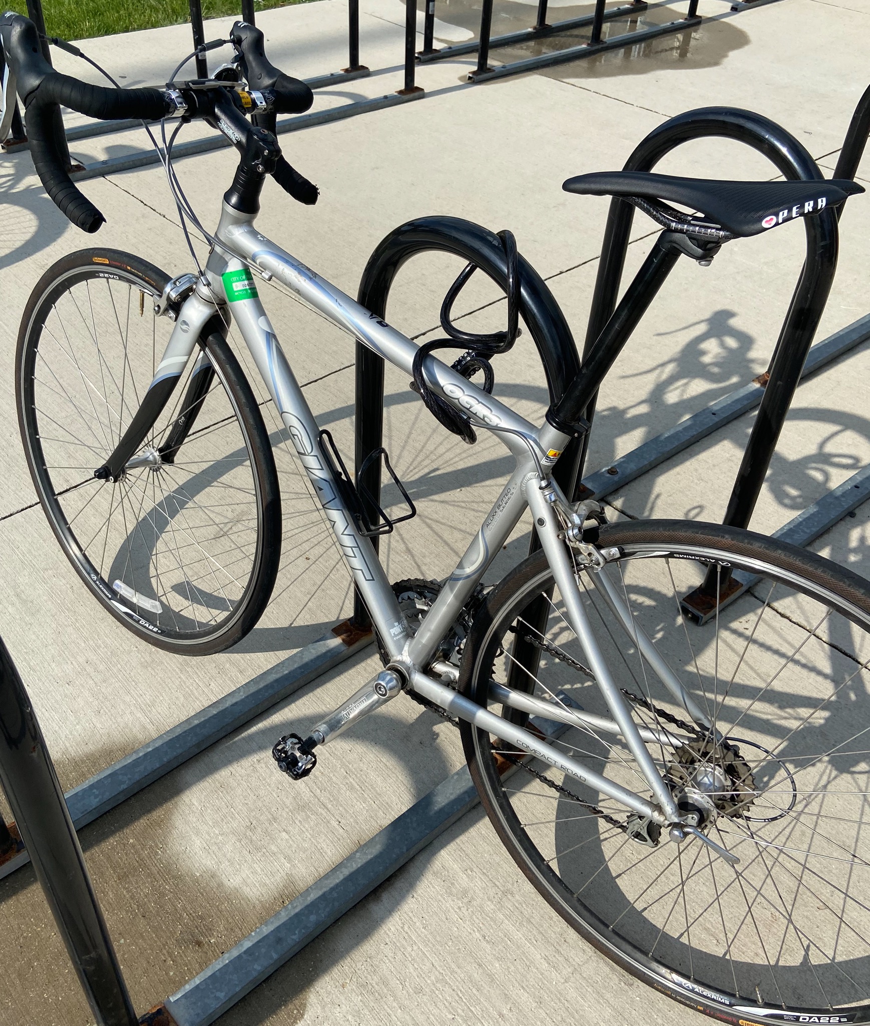 Giant OCR3