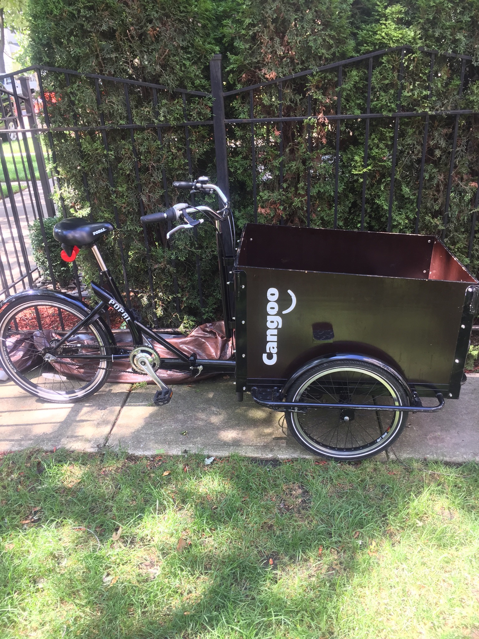 Cangoo Cargo trike