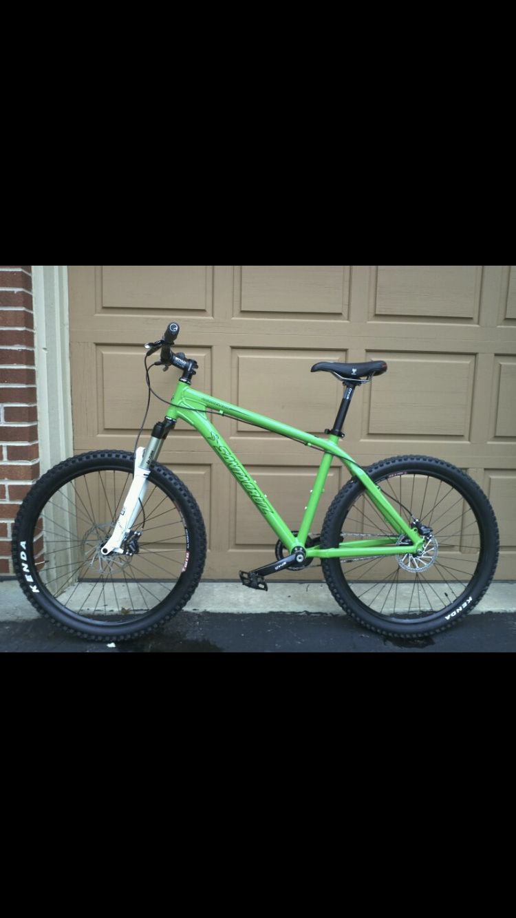 Santa Cruz Chameleon