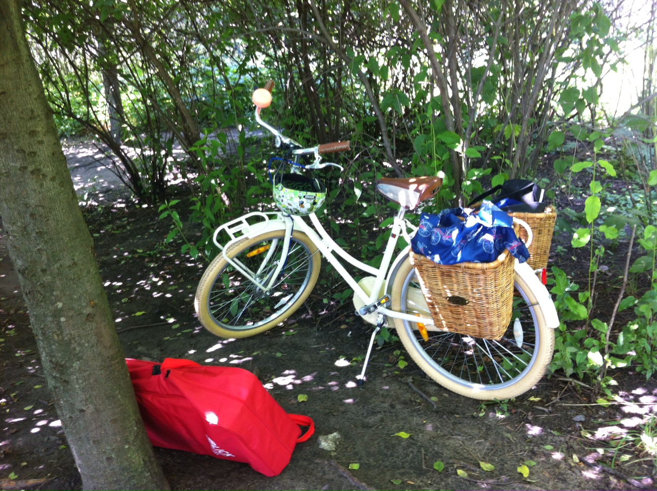 Republic Bikes Pluto