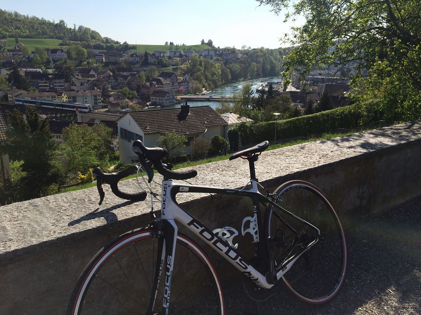 Focus Izalco Ergoride 3.0