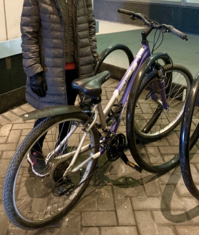 Schwinn