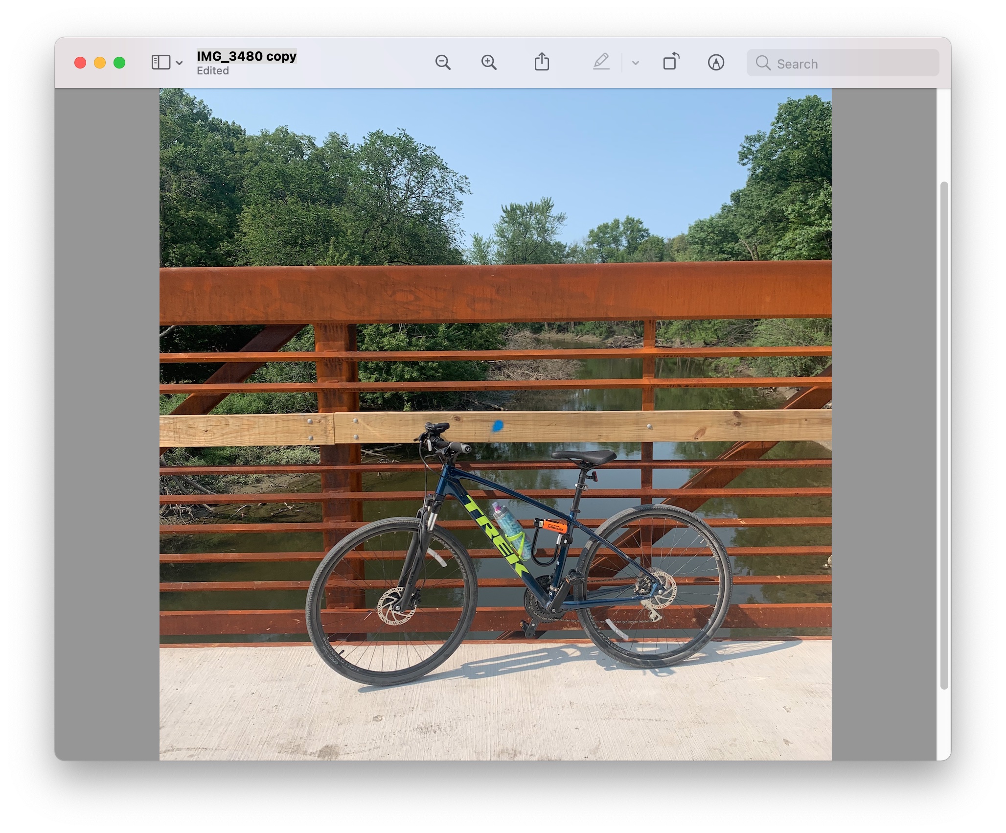 Trek Dual Sport 2