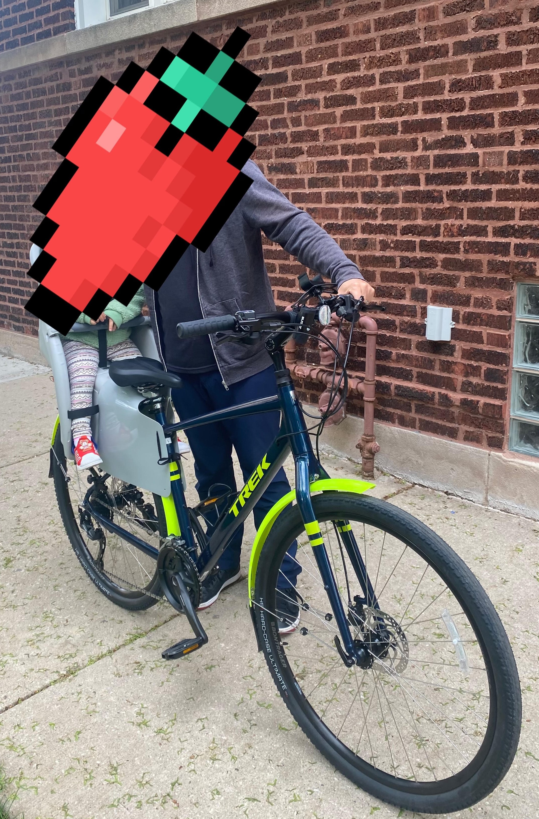 Trek Verve 3 Disc