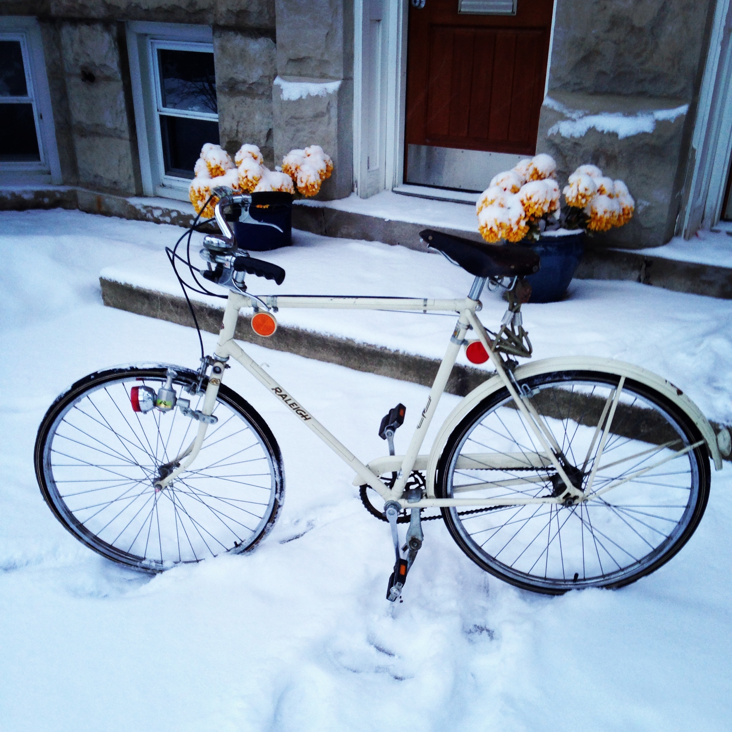 1973 Raleigh Sports