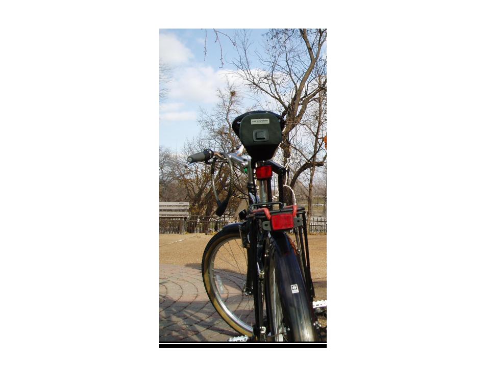 Specialized Globe