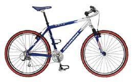 schwinn moab